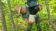 Woodlot owners in P.E.I. collecting spruce bark beetles for science