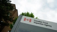 Case of rare disease uncovered at B.C. commercial pigeon operation, says CFIA