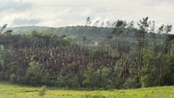 Possible tornado rips through Harrington Que., in the Laurentians