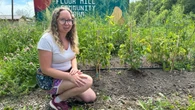 Short on workers and funding, there might be not be much of a harvest this year at Sudbury urban farm