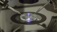 Applications for B.C.'s publicly funded IVF program open Wednesday