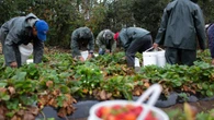 Migrant worker calls proposed spike in housing cost payroll deduction 'wickedness'