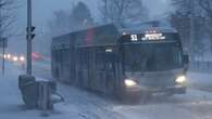 Hamilton, Burlington, Niagara could get up to 35 cm of snow this Family Day weekend