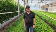 P.E.I. farmers call for designated electricity rate so they can stay competitive