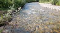 Yukon biologist warns impacts to creek near Eagle mine contained, but could reach tipping point