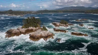 New protected marine reserve, larger than P.E.I., to be established on B.C.'s Central Coast