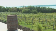Old Cape Breton winery getting high-end transformation