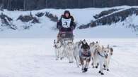 Yukon Quest to follow new route this winter because of climate change, race organizers say