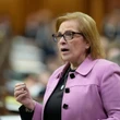 Immigration minister says 'something' happened to trigger order to surrender citizenship docs