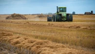 Sask. company using flax waste to create sustainable cat litter