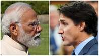 RCMP chief, CSIS director to testify about claims that India orchestrated crimes in Canada