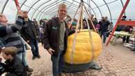 Gourd almighty: Marshfield man wins top prizes in giant pumpkin weigh-off