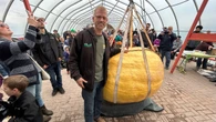 Hot, dry summer may be good news for P.E.I.'s giant pumpkin growers prepping for weigh-off
