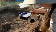 'They're putting the First Nations history at risk,' says northern Ontario archeologist about Bill 5