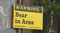 Hiker in hospital after bear attack in Crowsnest Pass, RCMP say