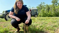 This weed zapper is ‘surging’ through farm fields on P.E.I.