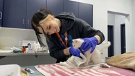 More pets are being surrendered to London shelters as cost of living goes up