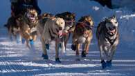 Lack of snow prompts Alaska's Iditarod to move official start to Fairbanks