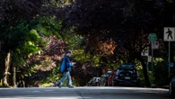 Vancouver's new urban forest strategy faces challenges, academic says