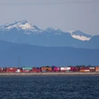 Why an expansion of the Delta, B.C., container port is going hand-in-hand with Alberta's pipeline proposal