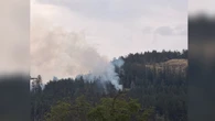 Structures not at risk as small wildfire burns near Port Alberni, officials say