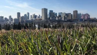 City’s new economic plan aims to tackle perception that Edmonton is ‘business unfriendly’