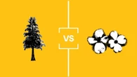 Search for B.C.'s Best Symbol: Nature Championship