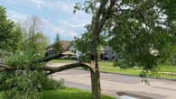 Canada Day thunderstorm leaves behind damage to Thunder Bay, Ont., properties