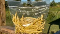 What makes yellow beans such a summertime favourite among Islanders?