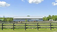 Act of 'disturbing' cruelty leaves 1 horse dead and several others injured in Welland, Ont., ranch