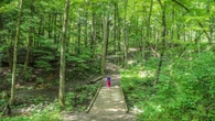 You can now get a prescription for nature access if you live in Hamilton, here's how