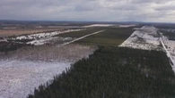 No decision about us, without us, say forestry companies