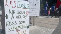 Legault government scraps forestry reform bill that drew widespread ire