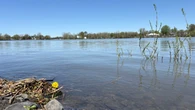 Quebec study finds 'cocktail of different pesticides' in treated tap water