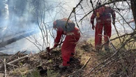 Thousands apply for B.C. Wildfire Service boot camp — but only a few will make the cut
