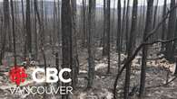 All eyes on weather as 2nd wildfire grows closer to Fort Nelson