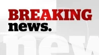 Newborn found in bus shelter in Longueuil, Que.