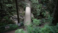 Man dies after cliff jumping at North Van's Lynn Canyon: police