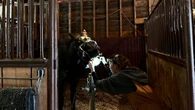 Did you know horses need dentists? Meet an equine dentist whose work is a mouthful
