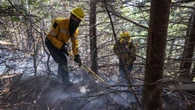 Cold weekend temperatures limit Kingston wildfire growth as fire suppression continues