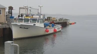 Lennox Island chief says moderate-livelihood lobster fishers will replace traps seized by DFO