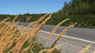 Motorcyclist dies after collision on N.W.T.'s Ingraham Trail