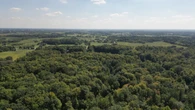 The Greenbelt is a 'safe haven' for 70% more species at risk than 2 decades ago, a new report says