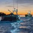 Lobster harvesters hope for strong prices as cost of fuel and other expenses soar
