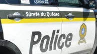 Toddler dies after being hit by excavator in Quebec's Chaudière-Appalaches region