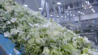 FDA maintains Taylor Farms lettuce is source of explosive diarrhea outbreak