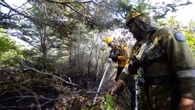 Kingston fire starting to show signs of 'less activity', says fire duty officer