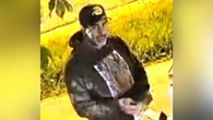 Police seeking man after string of alleged hate-motivated vandalism at Toronto synagogues