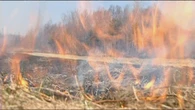 Cape Breton brush fires are sparking concerns
