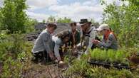 A new movie from Science North tells Sudbury's regreening story